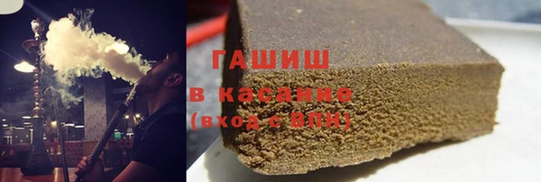 шишки Магас