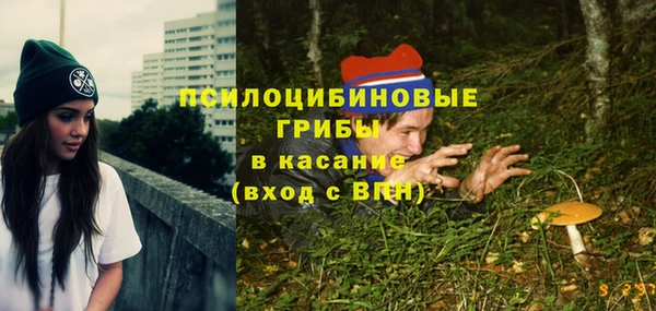 прущие крисы Медногорск