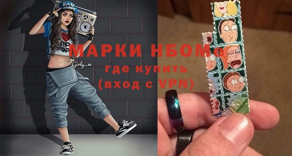 шишки Магас