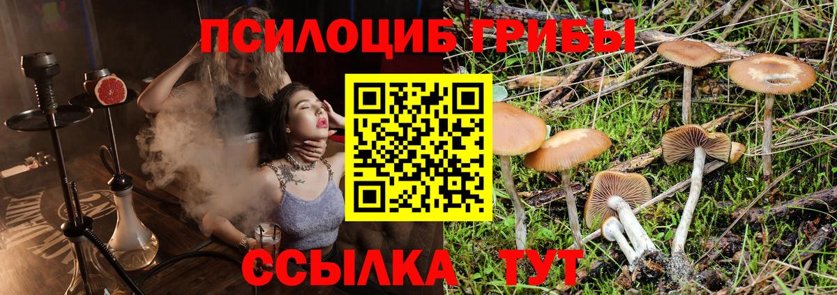 Псилоцибиновые грибы MAGIC MUSHROOMS Кувандык