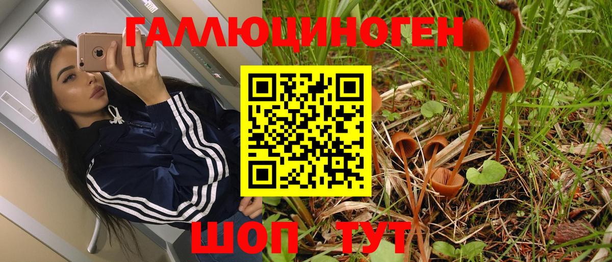 Псилоцибиновые грибы прущие грибы Кувандык